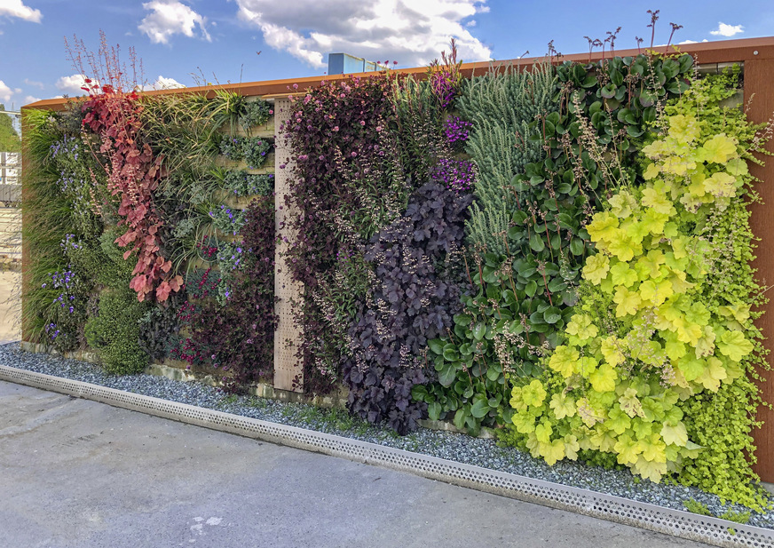 Mit Biolit Vertical Green entsteht eine „grüne Mauer“, in der Pflanzen auf natürliche Art integriert sind