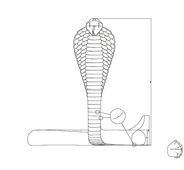 Frontabwicklung: symmetrische Schuppen am Hals und verschiedene Durchmesser des Schlangenkörpers (rechts unten)