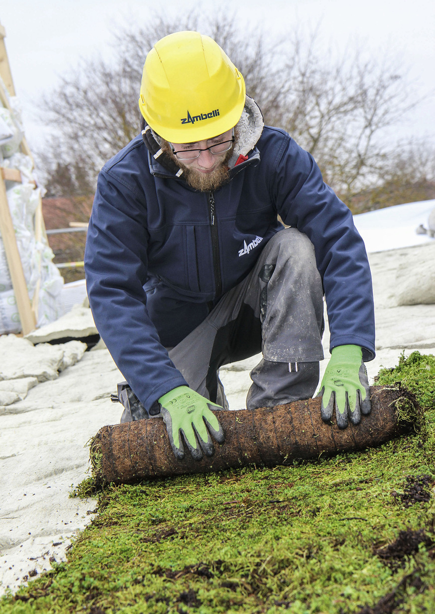 Das Urbanscape Gründach wurde von Zambelli und Knauf Insulation entwickelt