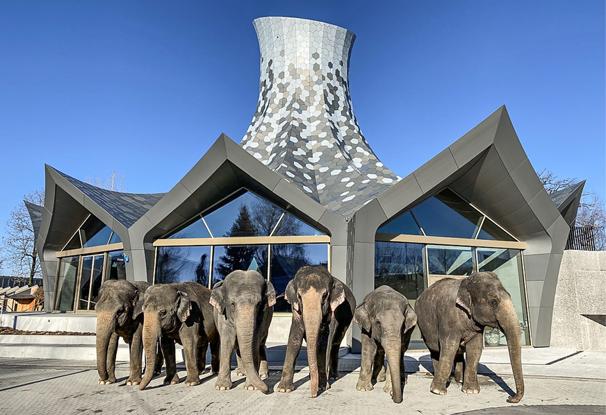 Neben bzw. hinter den Elefanten gehört der Zauberhut zu den Top-Attraktionen in Knies Kinderzoo