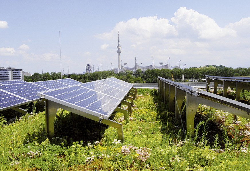 SolarVert-System auf dem Münchner Technologiezentrum: Die Höhe der ­Rahmen lässt den Pflanzen genug Licht zum Wachstum