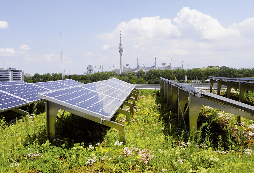 SolarVert-System auf dem Münchner Technologiezentrum: Die Höhe der Rahmen lässt den Pflanzen genug Licht zum Wachstum