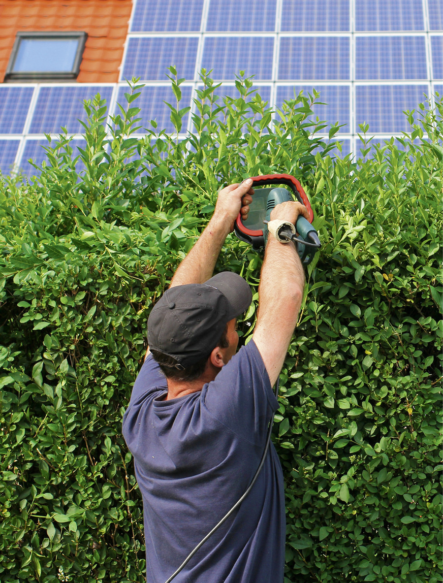 Auch das gehört zur Wartung: Eine Verschattung auf PV-Anlagen sollte langfristig verhindert werden