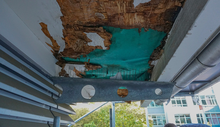 An diesem Bereich kommt aus der Kantinenküche ständig feuchtwarme Luft aus dem Gebäude hinzu