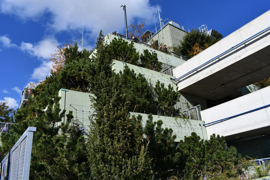 &nbsp;Der Betonkoloss wurde mit rund 23.000 Pflanzen begrünt