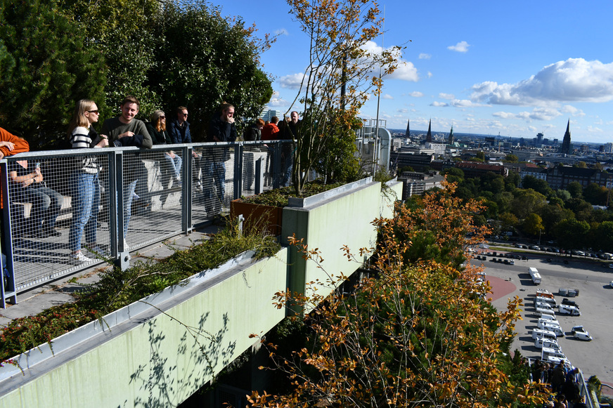Bei gutem Wetter besichtigen tausende Menschen pro Tag die grüne Attraktion