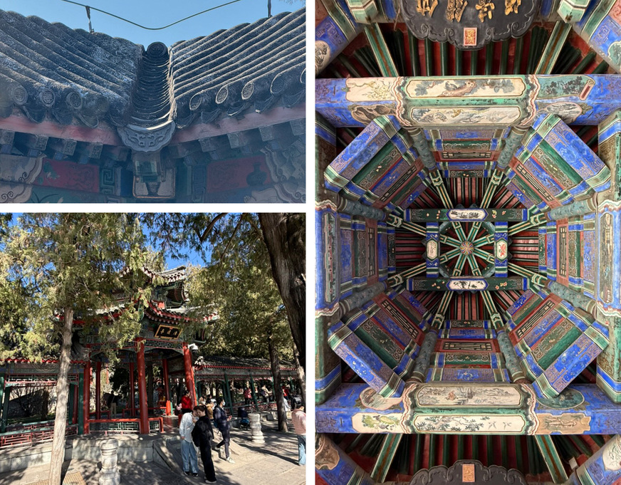 Kehle aus Hohlziegel und Blick unter die Holzkonstruktion eines Pavillion