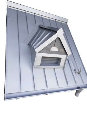 Dachmodell von Jens Hünting, 1. Preis in der Kategorie "Bester Klassiker"