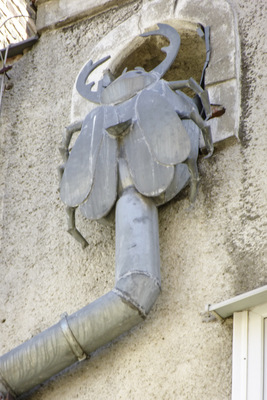 Klempnerkäfer