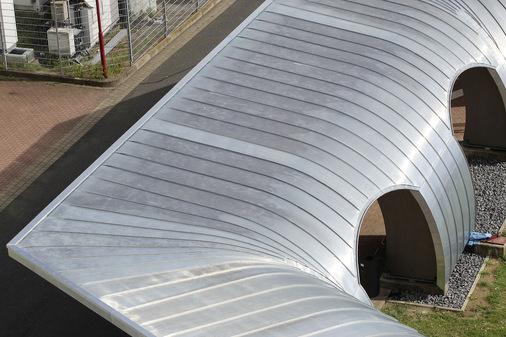 Der Kehlbereich beeindruckt mit konisch gerundeten Scharen