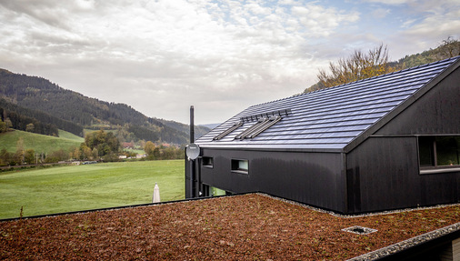 Blick über das Carportdach in die Natur
