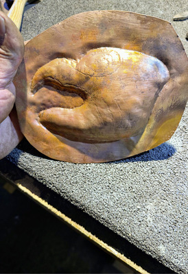 Erste Konturen des Drachenkopfes werden sichtbar