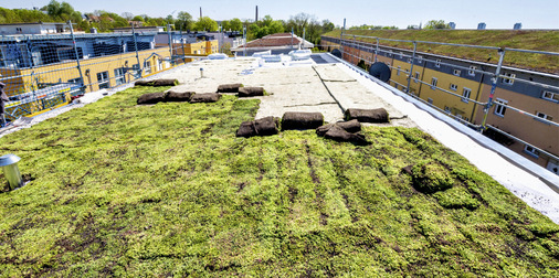 Nachher: Die vorkultivierte Vegetationsschicht des Urbanscape-Dachs wird über dem neuen Metalldach ausgerollt