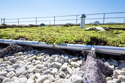 Durchdacht: Entsprechendes Zambelli-System­zubehör erleichtert die Anschlüsse, zum Beispiel am Übergang vom bekiesten Dachrand zur begrünten Hauptdachfläche. Hier ­sichert der „Schneefang“ die Begrünung gegen ­Abrutschen