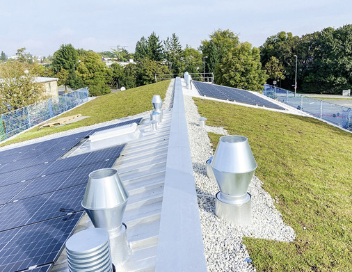  Das Gründach von Zambelli überzeugt als konzipiertes Komplettdach mit einfach zu verlegendem Begrünungs­aufbau