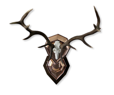 Ungewöhnlich! ­Jagdtrophäenhalter von Jakob Schwarz