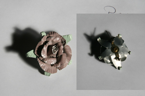 Farbaluminium Züchtung von Friedhelm Hesse