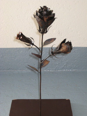 Diese Rosenschönheit steht kurz vor ihrer Blüte