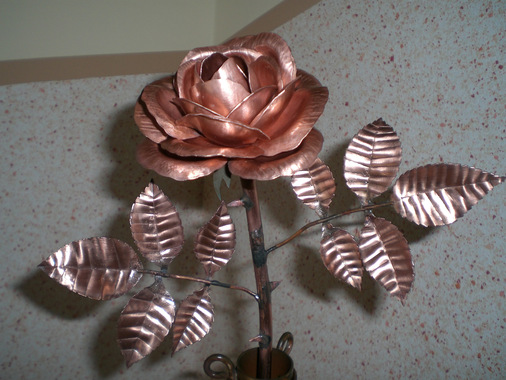 Klassische Kupferrosenschönheit von Kersten Seeger