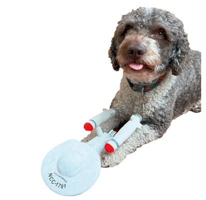 BAUMETALL-Redaktionshund Henry freut sich über seine Plüsch-Enterprise