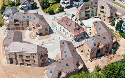 Meisterliche Metalldachlandschaft