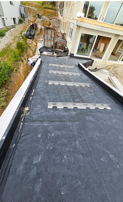 Geneigte Dachfläche mit perforierten Schubleisten