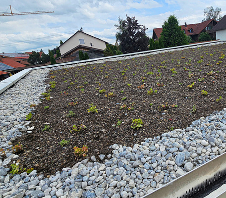 Saubere Begrünungslösung mit Schubleiste und Attikaabdeckung