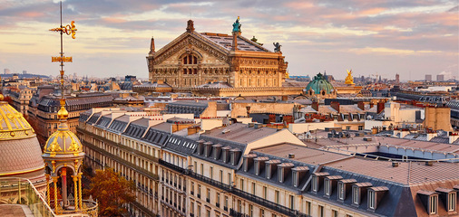 Pariser Skyline mit wunderschönen vergoldeten Dachornamenten