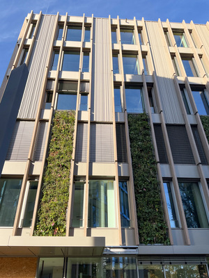 Projekt 4:  In München trifft Holz auf Metall und auf Begrünung 