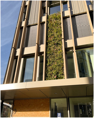 Auch die Untersichten der Vordächer sind mit Metall bekleidet