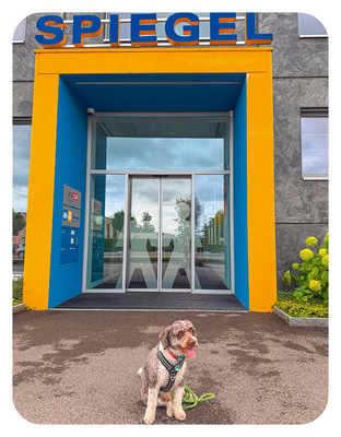 Fast immer dabei: BAUMETALL-Redaktionshund Henry vor dem Firmensitz der Gebrüder Spiegel AG