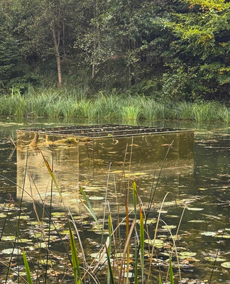 Blickwinkel und Lichtwirkung sind verschiebbar