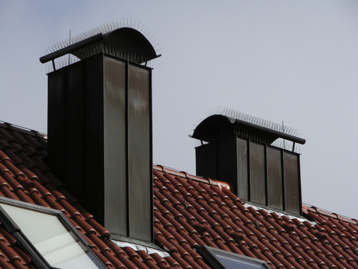 Schornsteinkopf mit Waschbär- und Tauben-Abwehr