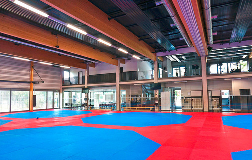 Taekwondo-Bundesstützpunkt Nürnberg: Element-Dach in Akustikausführung mit perforierten Kassetten in RAL 7016