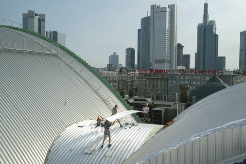 Zambelli-Rib-Roof am Frankfurter Hauptbahnhof