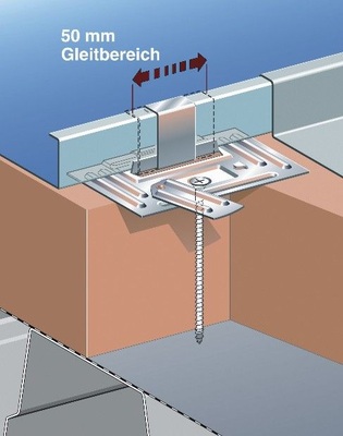 Edelstahl-Plattenhaft mit geprägter Platte und Schraubkopfabdeckung