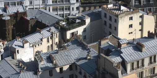Zink in Hülle und Fülle über den Dächern von Paris