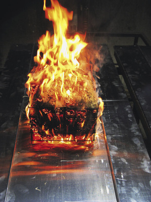 ... dabei gibt ein Holzwollefeuer entsprechenden Aufschluss über das

Schmelzverhalten von Dachdeckung und darunter liegender Schicht