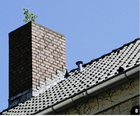 8 Hat der Schornsteinfeger etwa seinen Besen vergessen, oder war es der Förster?