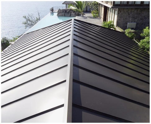 Moderne Metallbedachungen sind ebenso tropentauglich wie traditionelle Dachdeckungen aus Naturmaterialien (Titelfoto)