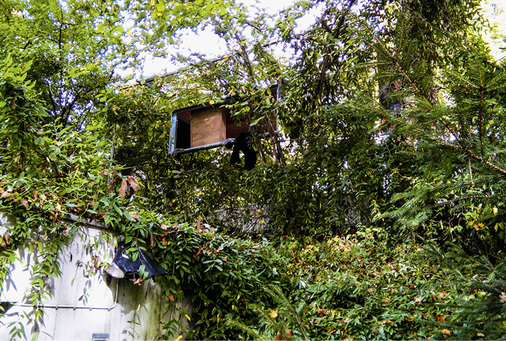 
Erst auf den zweiten Blick und aus geringerer Distanz wird das Domizil sichtbar, das gut getarnt im Gestrüpp verschwindet
