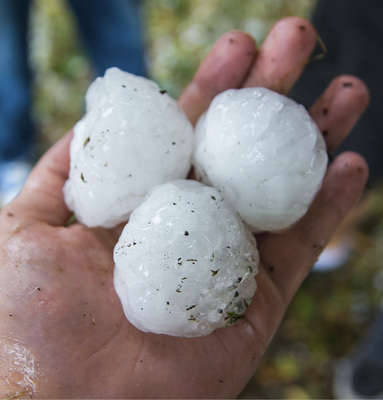 <p>
</p>

<p>
In einigen Teilen Reutlingens erreichten die Hagelkörner die Größe von Tennisbällen
</p> - © Foto:Thinkstock/Wetterfotografie

