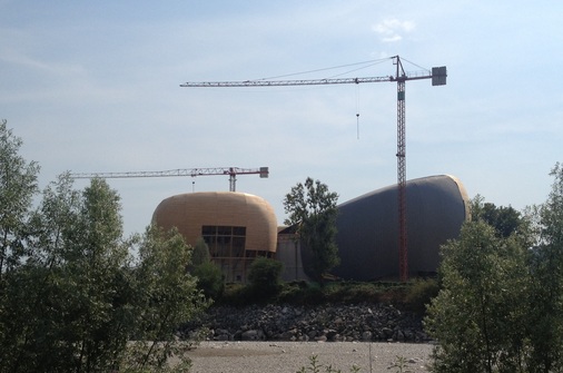 Stehfalzriese: Entdeckt von Thomas Kreyer am Lago Maggiore