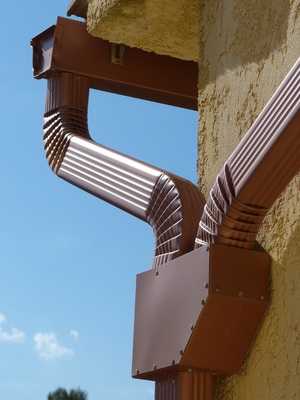 Elefantenrüssel (Einsender unbekannt)