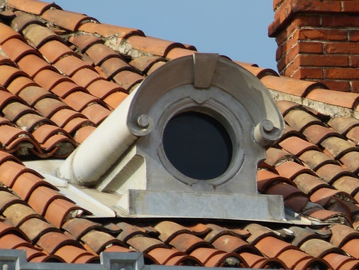 Bullauge sein wachsam: Entdeckt von Manfred F. in Splitt