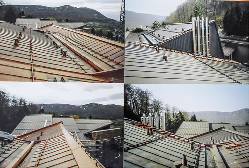 
Insgesamt 40 t Kupfer verarbeitete der Fachbetrieb Dangel bei den Blumenmönchen
