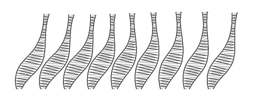 <p>
Die neun abgewickelten Mantelflächen
</p>