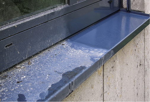 
Pulverbeschichtete Fensterbank, gereinigt mit Ilka-Alu Rein APU für lackierte Oberflächen, Aluminium, Buntmetalle und Edelstahl, mit Ablaufeffekt, UV-Schutz und konservierender Eigenschaft
