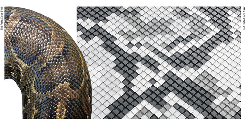 
Original und Fälschung sehen sich verblüffend ähnlich
