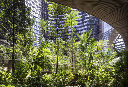 <p>
Im Büro- und Wohnkomplex Marina One in Singapur erstreckt sich eine dreidimensionale grüne Oase mit 350 verschiedenen Pflanzenarten über mehrere Stockwerke
</p>

<p>
</p> - © WZV / HGEsch

